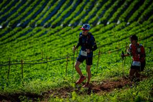 BIB: 
                            <button type="button" onclick="openModal(19160880)" class="btn btn-primary btn-sm float-right btn-popup" data-toggle="modal" data-target=".modal-high-quality">
                        <i class="fas fa-shopping-cart"></i> Add to Cart
                    </button>
                                            <button type="button" onclick="isThisMe(19160880, true)" class="btn btn-success btn-sm float-right btn-popup btn-isme hidden" data-toggle="tooltip" data-placement="bottom" title="นี่คือรูปของคุณใช่ไหม คลิกที่นี่เพื่อเอาเข้าอัลบั้ม">
                        <i class="fas fa-plus"></i> Add to album
                    </button>
                    <button type="button" onclick="isThisMe(19160880, false)" class="btn btn-warning btn-sm float-right btn-popup btn-isnotme hidden">
                        <i class="fas fa-ban"></i> Remove from album
                    </button>